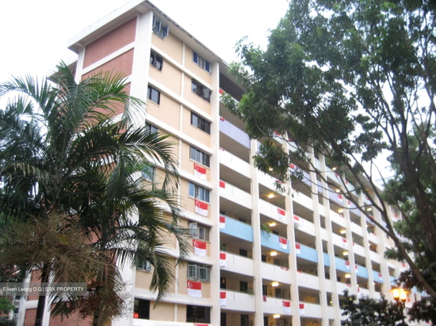 Garden Hill (D16), Shop House #501189061